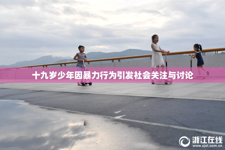 十九岁少年因暴力行为引发社会关注与讨论