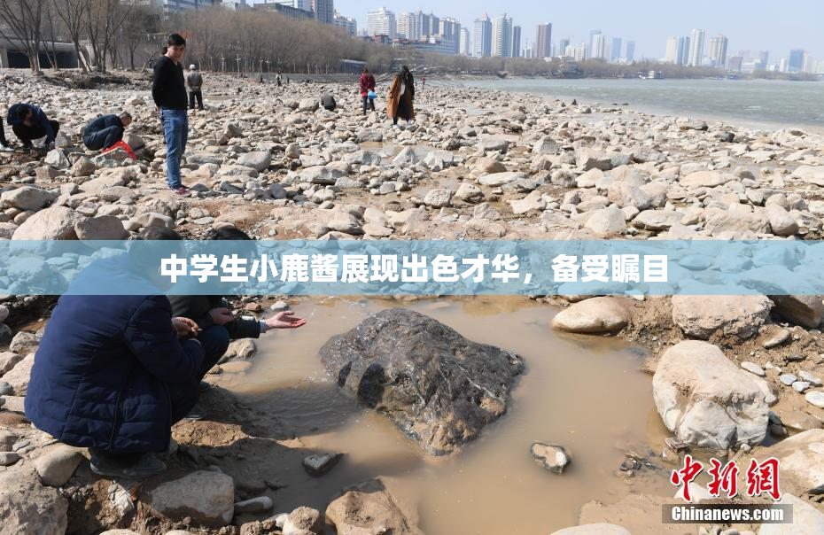 中学生小鹿酱展现出色才华，备受瞩目