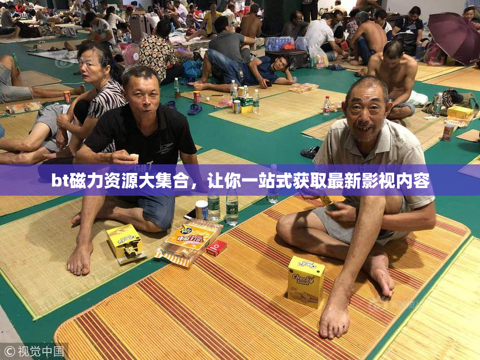 bt磁力资源大集合，让你一站式获取最新影视内容