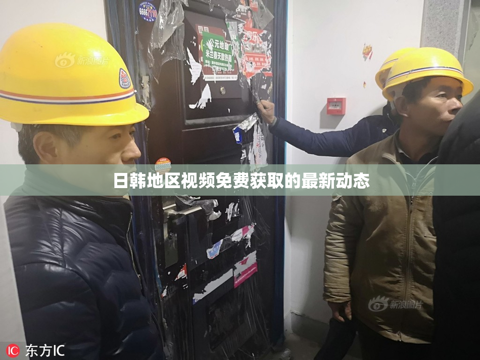 日韩地区视频免费获取的最新动态