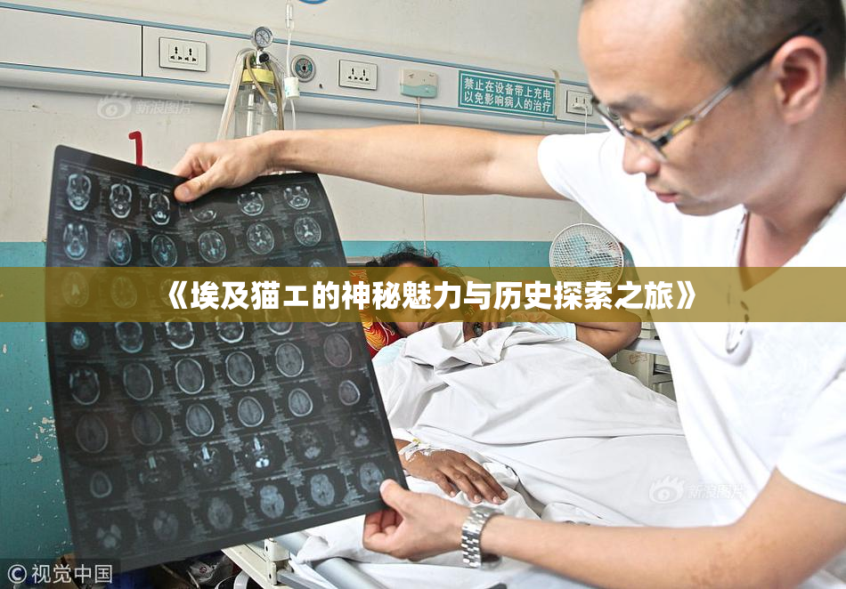 《埃及猫エ的神秘魅力与历史探索之旅》