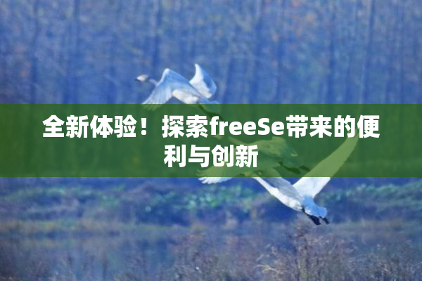 全新体验！探索freeSe带来的便利与创新