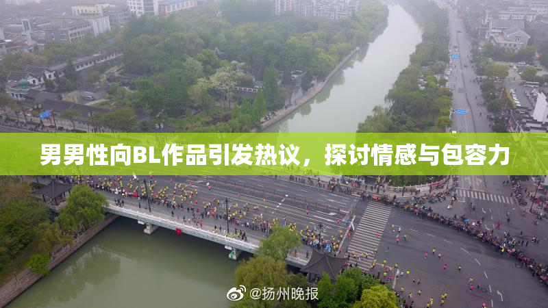 男男性向BL作品引发热议，探讨情感与包容力