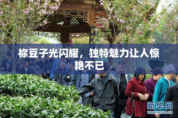 祢豆子光闪耀，独特魅力让人惊艳不已
