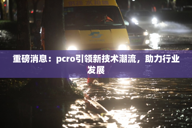 重磅消息：pcro引领新技术潮流，助力行业发展