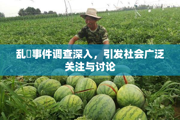 乱婬事件调查深入，引发社会广泛关注与讨论