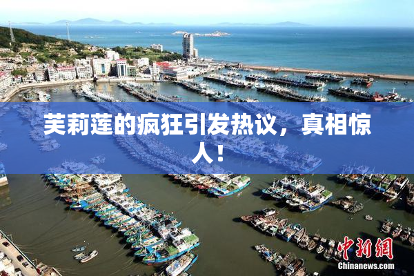 芙莉莲的疯狂引发热议，真相惊人！