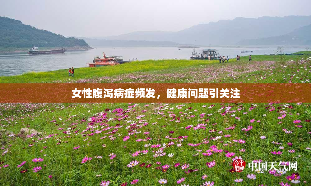 女性腹泻病症频发，健康问题引关注