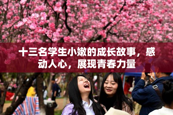 十三名学生小嫩的成长故事，感动人心，展现青春力量