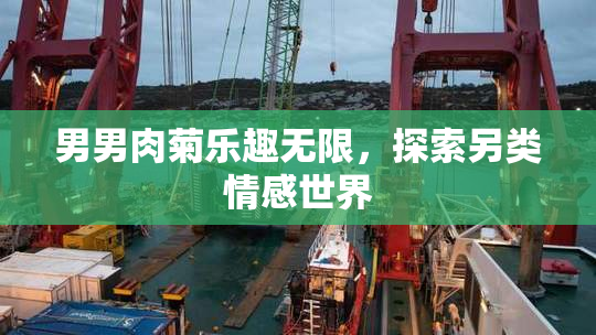 男男肉菊乐趣无限，探索另类情感世界