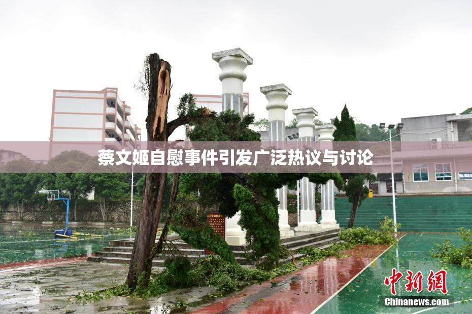 蔡文姬自慰事件引发广泛热议与讨论