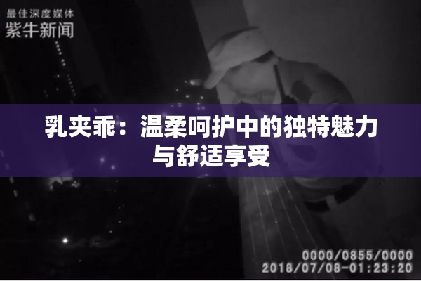 乳夹乖：温柔呵护中的独特魅力与舒适享受