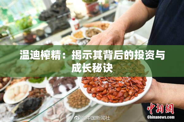 温迪榨精：揭示其背后的投资与成长秘诀