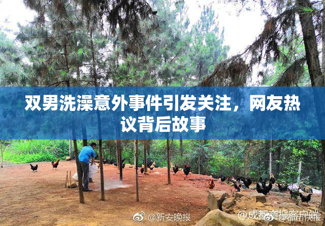 双男洗澡意外事件引发关注，网友热议背后故事