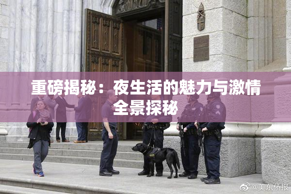 重磅揭秘：夜生活的魅力与激情全景探秘