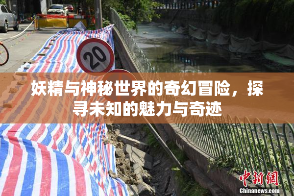 妖精与神秘世界的奇幻冒险，探寻未知的魅力与奇迹