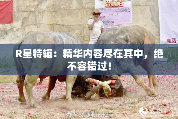 R星特辑：精华内容尽在其中，绝不容错过！