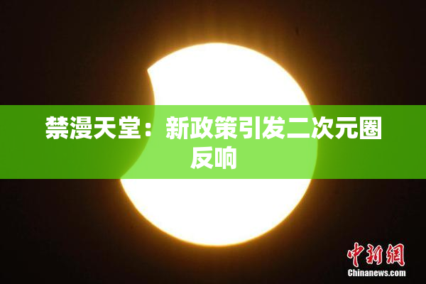 禁漫天堂：新政策引发二次元圈反响