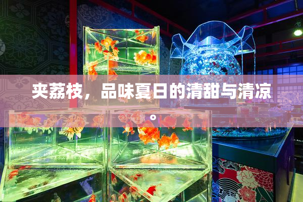 夹荔枝，品味夏日的清甜与清凉。