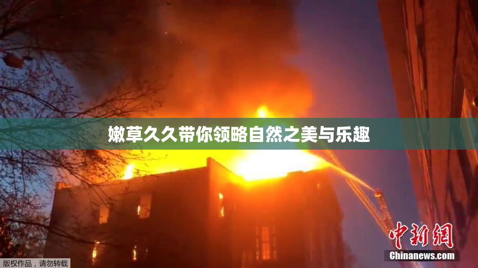嫩草久久带你领略自然之美与乐趣