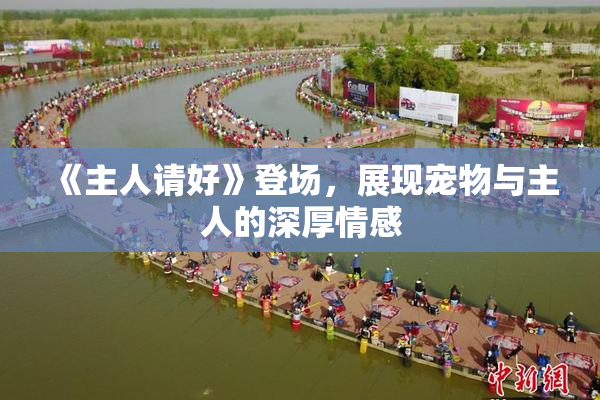 《主人请好》登场，展现宠物与主人的深厚情感