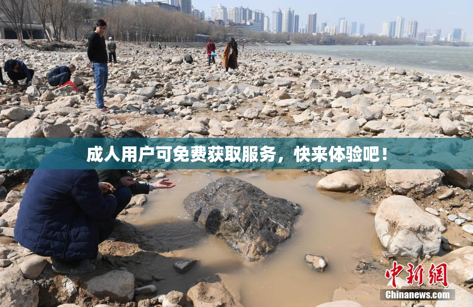成人用户可免费获取服务，快来体验吧！