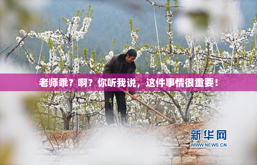 老师乖？啊？你听我说，这件事情很重要！