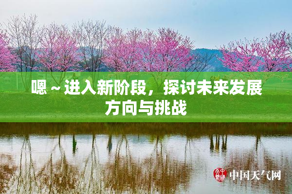 嗯～进入新阶段，探讨未来发展方向与挑战