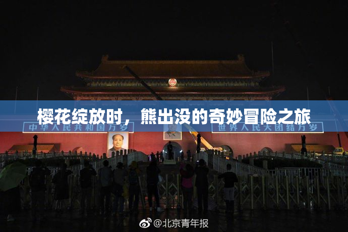 樱花绽放时，熊出没的奇妙冒险之旅