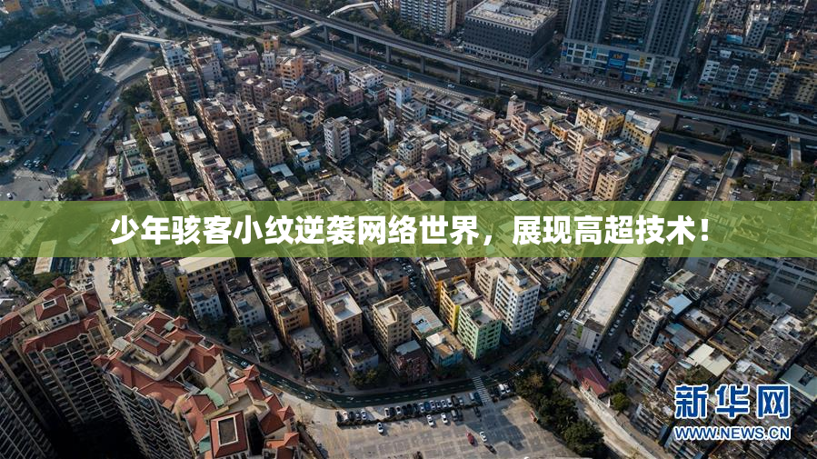 少年骇客小纹逆袭网络世界，展现高超技术！