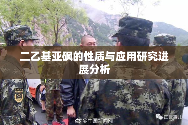 二乙基亚砜的性质与应用研究进展分析
