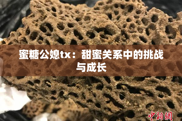 蜜糖公媳tx：甜蜜关系中的挑战与成长