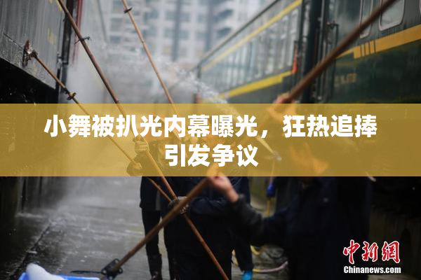 小舞被扒光内幕曝光，狂热追捧引发争议