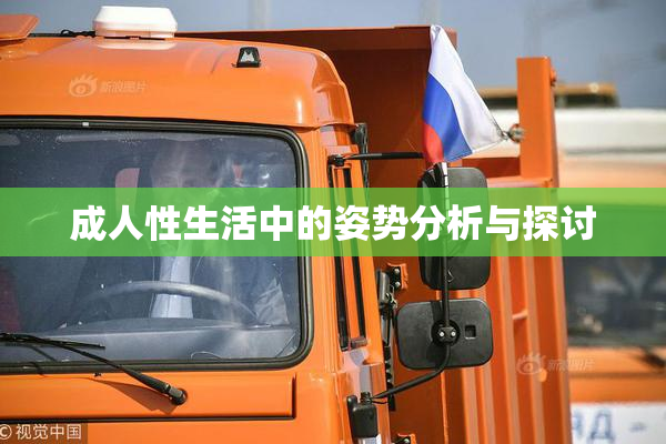 成人性生活中的姿势分析与探讨