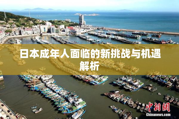 日本成年人面临的新挑战与机遇解析