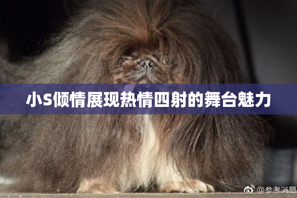 小S倾情展现热情四射的舞台魅力