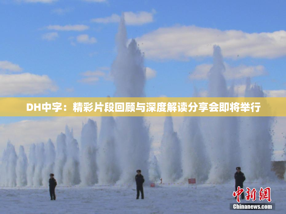 DH中字：精彩片段回顾与深度解读分享会即将举行