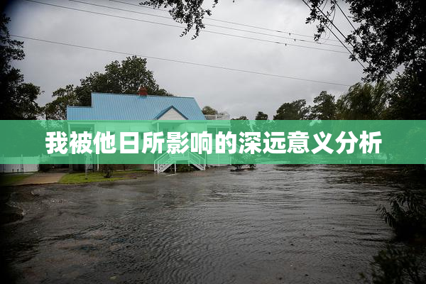 我被他日所影响的深远意义分析