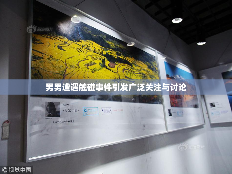 男男遭遇触碰事件引发广泛关注与讨论