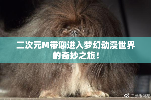 二次元M带您进入梦幻动漫世界的奇妙之旅！