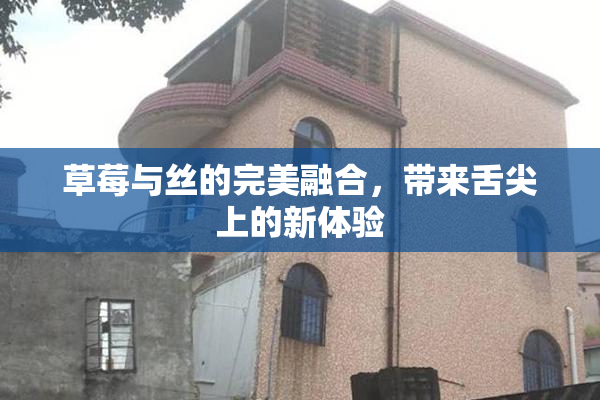 草莓与丝的完美融合，带来舌尖上的新体验