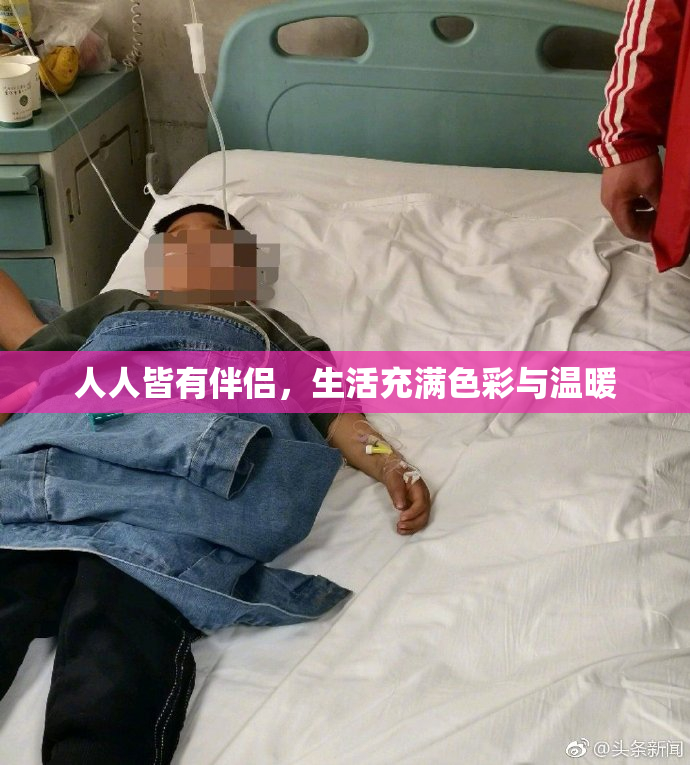 人人皆有伴侣，生活充满色彩与温暖