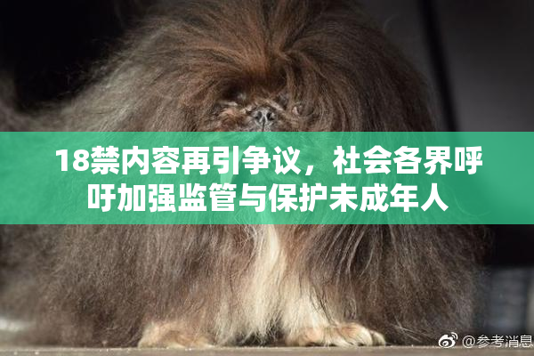 18禁内容再引争议，社会各界呼吁加强监管与保护未成年人