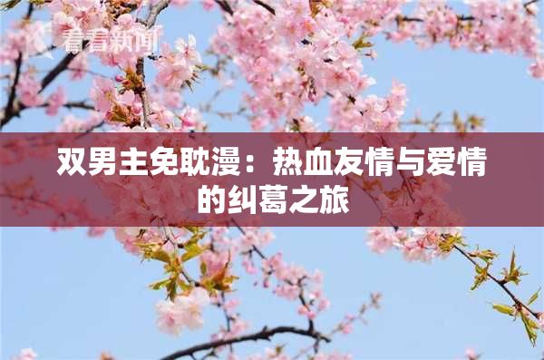 双男主免耽漫：热血友情与爱情的纠葛之旅