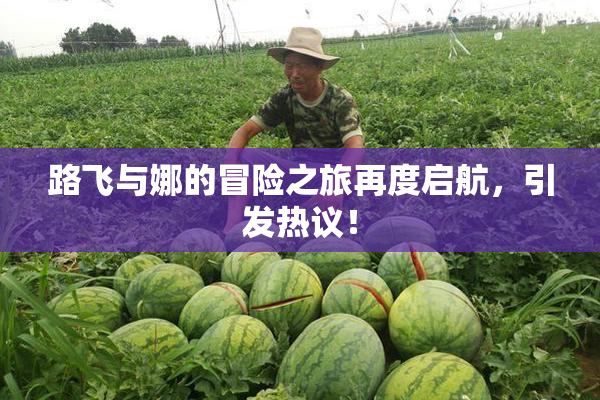 路飞与娜的冒险之旅再度启航，引发热议！