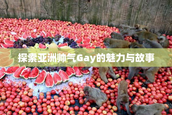 探索亚洲帅气Gay的魅力与故事