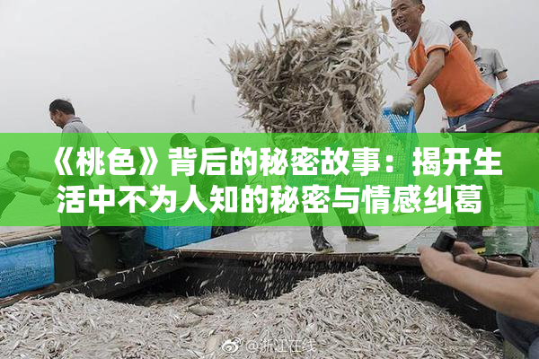 《桃色》背后的秘密故事：揭开生活中不为人知的秘密与情感纠葛