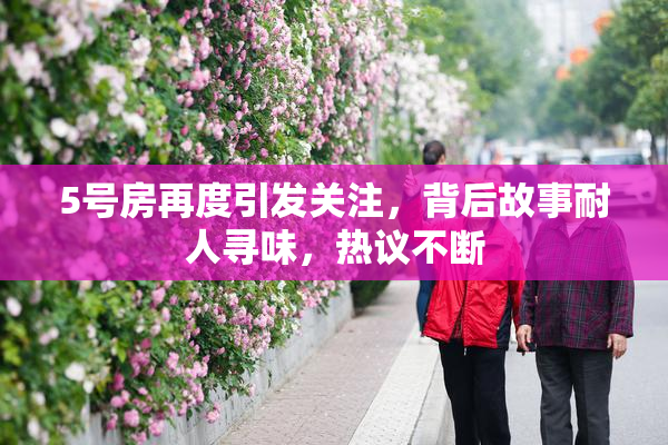 5号房再度引发关注，背后故事耐人寻味，热议不断