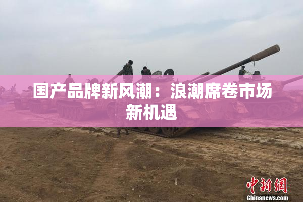 国产品牌新风潮：浪潮席卷市场新机遇