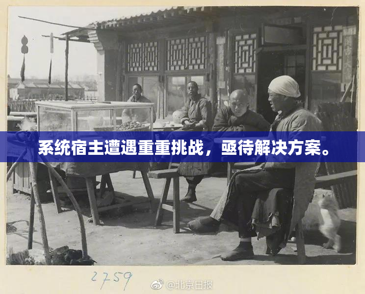 系统宿主遭遇重重挑战，亟待解决方案。
